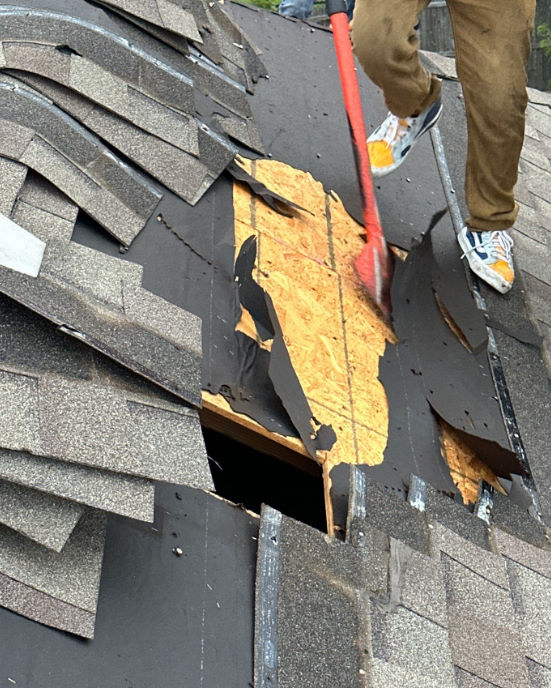 A worker uses a shingle shovel to tear off damaged asphalt shingles, revealing a large area of exposed OSB decking with torn felt paper.